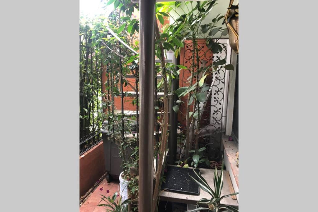 Amplia Habitacion Tipo Ejecutiva Con Bano Y Acceso Privados Toluca Buitenkant foto